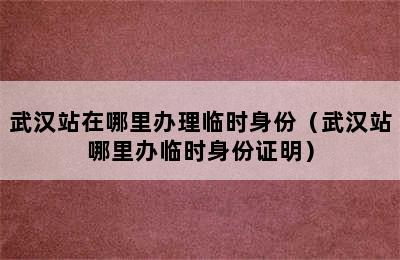 武汉站在哪里办理临时身份（武汉站哪里办临时身份证明）