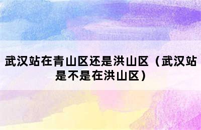 武汉站在青山区还是洪山区（武汉站是不是在洪山区）