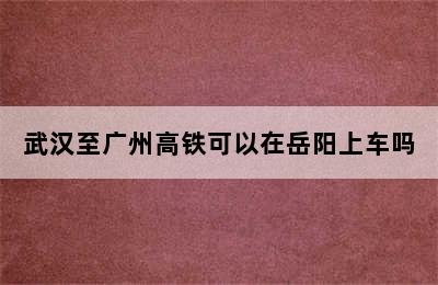 武汉至广州高铁可以在岳阳上车吗