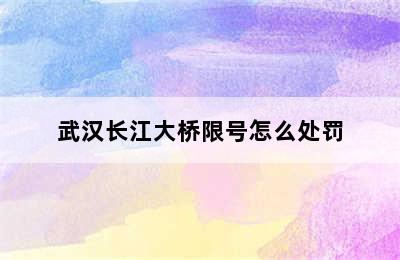 武汉长江大桥限号怎么处罚