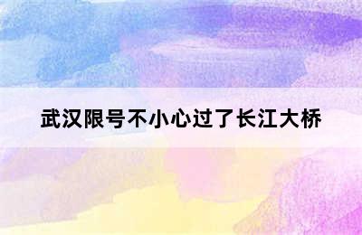 武汉限号不小心过了长江大桥