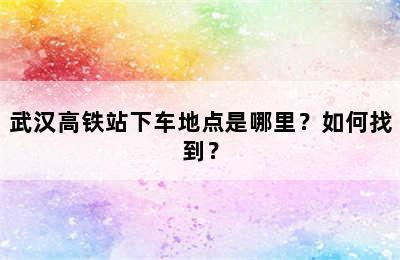 武汉高铁站下车地点是哪里？如何找到？