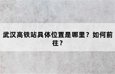 武汉高铁站具体位置是哪里？如何前往？