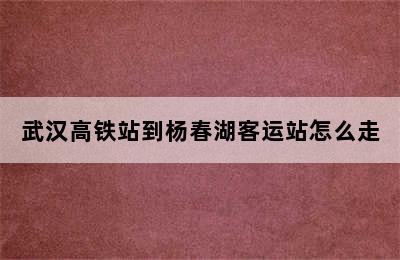 武汉高铁站到杨春湖客运站怎么走