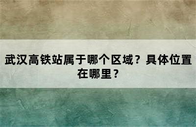 武汉高铁站属于哪个区域？具体位置在哪里？