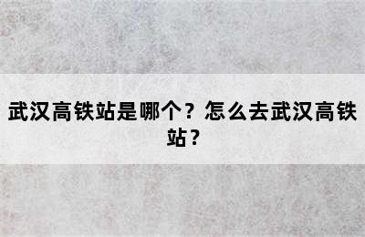 武汉高铁站是哪个？怎么去武汉高铁站？