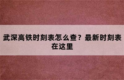 武深高铁时刻表怎么查？最新时刻表在这里