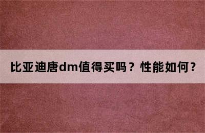 比亚迪唐dm值得买吗？性能如何？