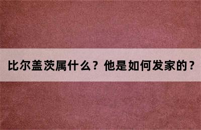 比尔盖茨属什么？他是如何发家的？