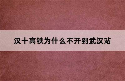 汉十高铁为什么不开到武汉站