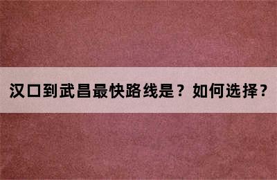 汉口到武昌最快路线是？如何选择？