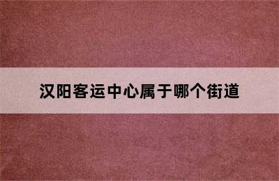 汉阳客运中心属于哪个街道