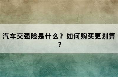 汽车交强险是什么？如何购买更划算？