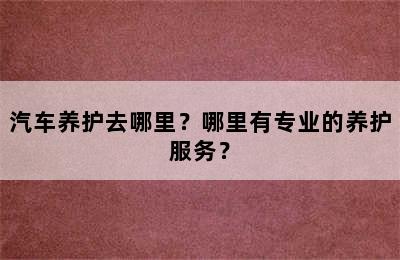 汽车养护去哪里？哪里有专业的养护服务？