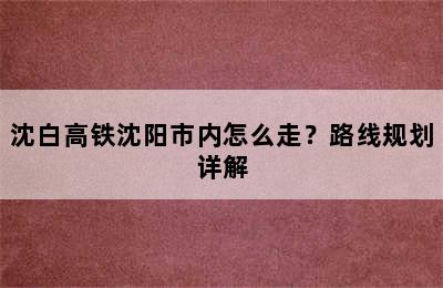 沈白高铁沈阳市内怎么走？路线规划详解