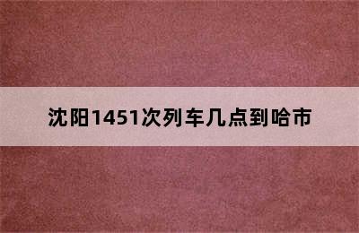 沈阳1451次列车几点到哈市