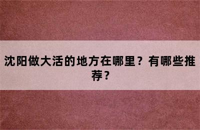 沈阳做大活的地方在哪里？有哪些推荐？