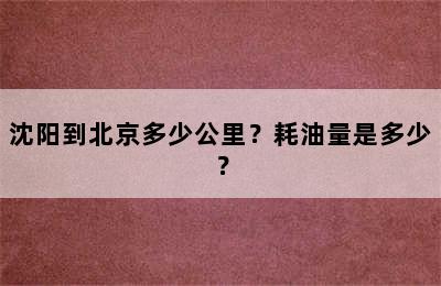 沈阳到北京多少公里？耗油量是多少？