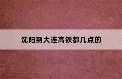 沈阳到大连高铁都几点的