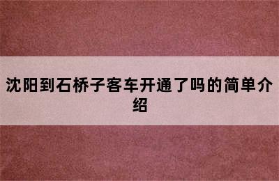 沈阳到石桥子客车开通了吗的简单介绍