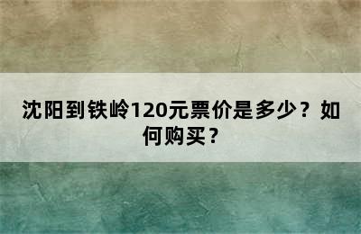 沈阳到铁岭120元票价是多少？如何购买？