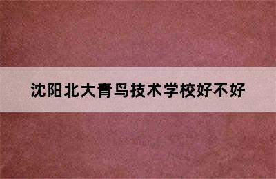 沈阳北大青鸟技术学校好不好