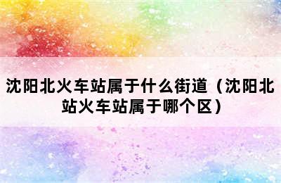 沈阳北火车站属于什么街道（沈阳北站火车站属于哪个区）