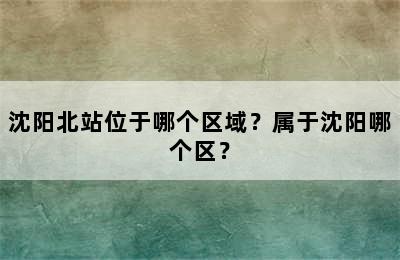 沈阳北站位于哪个区域？属于沈阳哪个区？