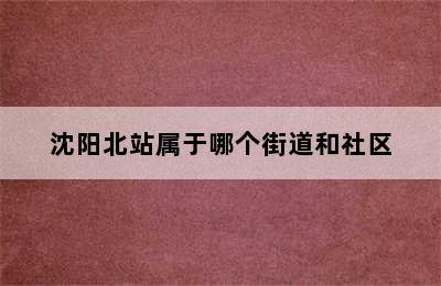 沈阳北站属于哪个街道和社区