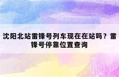 沈阳北站雷锋号列车现在在站吗？雷锋号停靠位置查询