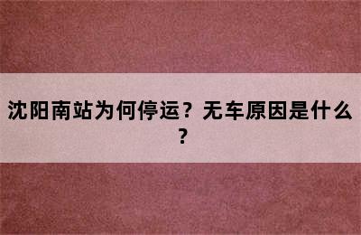 沈阳南站为何停运？无车原因是什么？