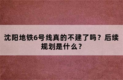 沈阳地铁6号线真的不建了吗？后续规划是什么？