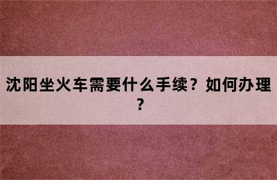 沈阳坐火车需要什么手续？如何办理？