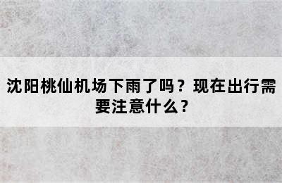 沈阳桃仙机场下雨了吗？现在出行需要注意什么？