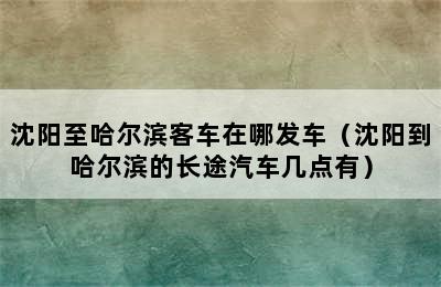 沈阳至哈尔滨客车在哪发车（沈阳到哈尔滨的长途汽车几点有）