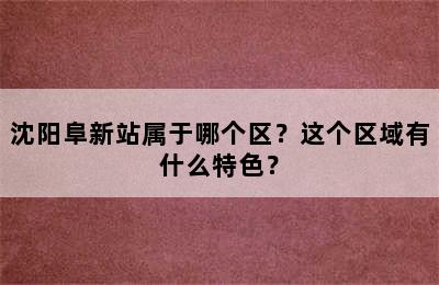 沈阳阜新站属于哪个区？这个区域有什么特色？