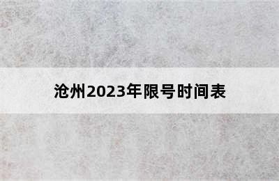 沧州2023年限号时间表