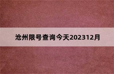 沧州限号查询今天202312月