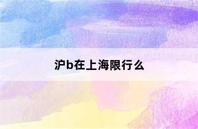 沪b在上海限行么