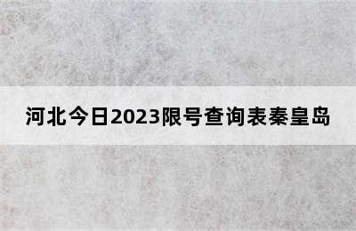 河北今日2023限号查询表秦皇岛