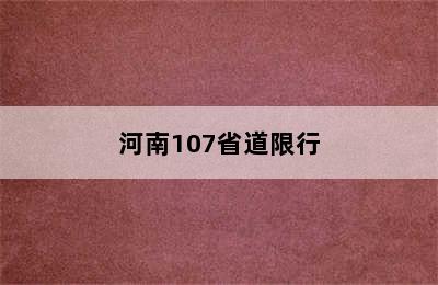 河南107省道限行