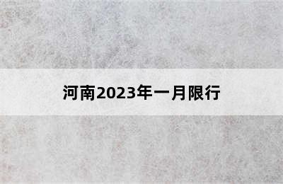 河南2023年一月限行