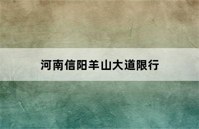 河南信阳羊山大道限行