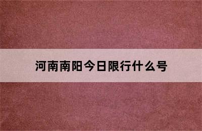 河南南阳今日限行什么号