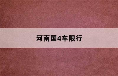 河南国4车限行