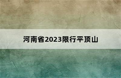 河南省2023限行平顶山