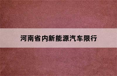 河南省内新能源汽车限行