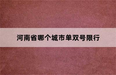 河南省哪个城市单双号限行