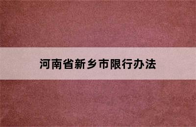 河南省新乡市限行办法