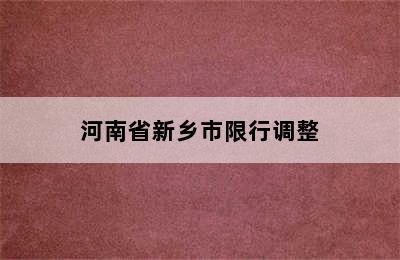 河南省新乡市限行调整